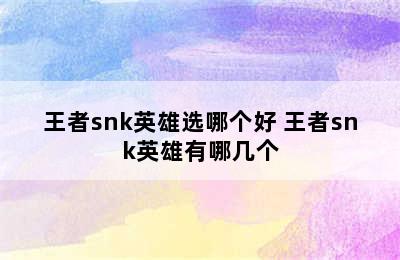 王者snk英雄选哪个好 王者snk英雄有哪几个